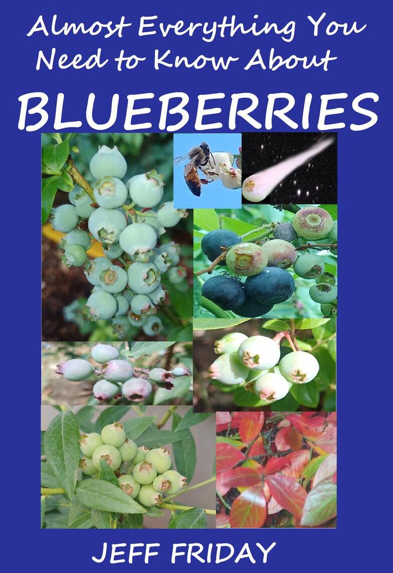Almost Everything You Need to Know About Blueberries by Jeff Friday ...