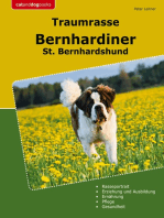 Traumrasse Bernhardiner: St. Bernhardshund