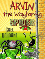 Arvin the Wayfaring Spider