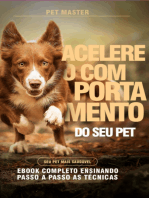 85 Dicas E Comandos Infalíveis Para Treinar Seu Cão