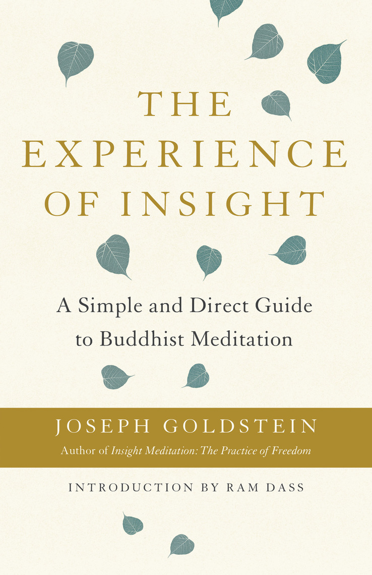 The Experience of Insight by Joseph Goldstein (Ebook) - Read free for ...