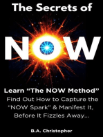 The Secrets of NOW - Learn The NOW Method - Find Out How to Take the Spark of Life, of an Idea, and Capture It Before It Fizzles Away...