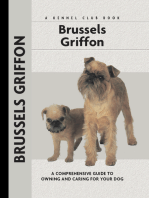Brussels Griffon