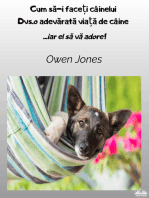 Cum Să-I Faceți CâineluiDvs.o Adevărată Viață De Câine