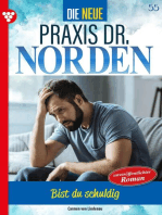 Bist du schuldig?: Die neue Praxis Dr. Norden 55 – Arztserie