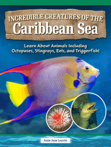 Incredible Creatures of the Caribbean Sea: Learn About Animals Including Octopuses, Stingrays, Eels, and Triggerfish!