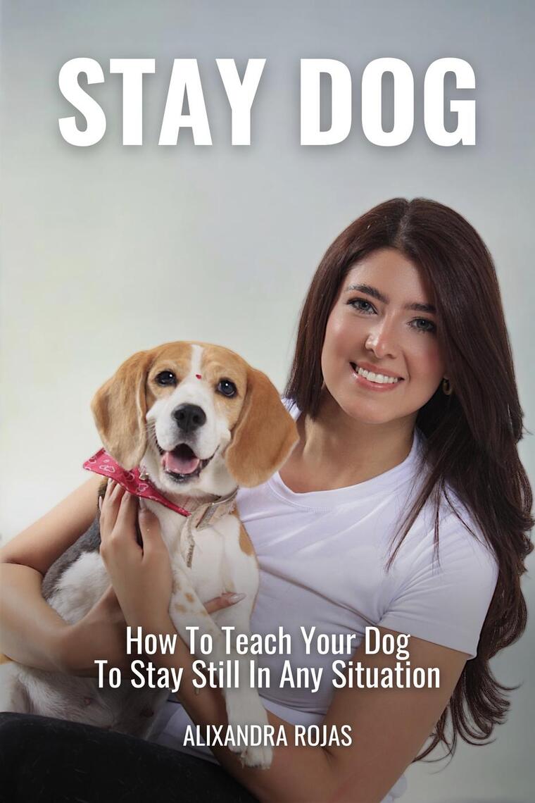 How to Train Your Dog to Stay: Expert Tips & Tricks