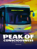 The Peak of Consciousness: the Story of One Road: Quantum Wonder, #8.3