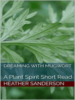 Dreaming with Mugwort