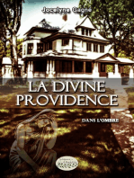 La divine providence tome 1: Dans l'ombre