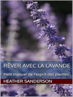 Rêver avec la lavande