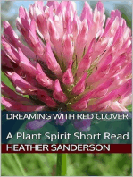 Dreaming with Red Clover