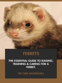 Ferrets: The Essential Guide to Raising, Training & Caring for A Ferret.