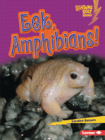 Eek, Amphibians!
