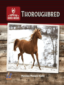 Thoroughbred