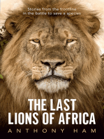 The Last Lions of Africa