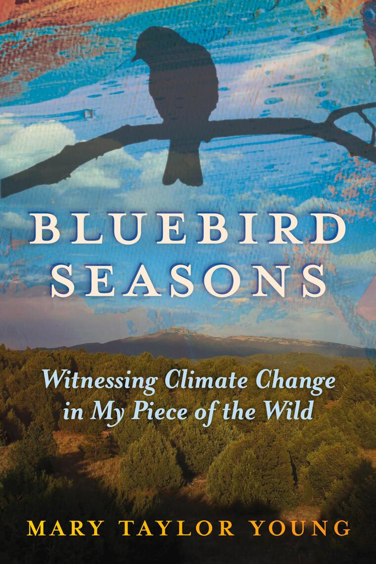 Bluebird Seasons by Mary Taylor Young (Ebook) - Read free for 30 days