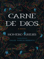 Carne de Dios