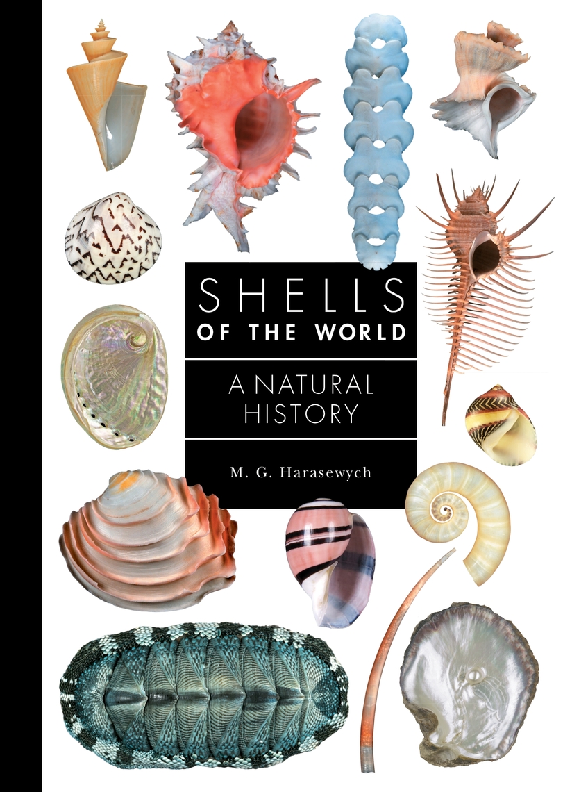 Shells of the World by M. G. Harasewych (Ebook) - Read free for 30 days