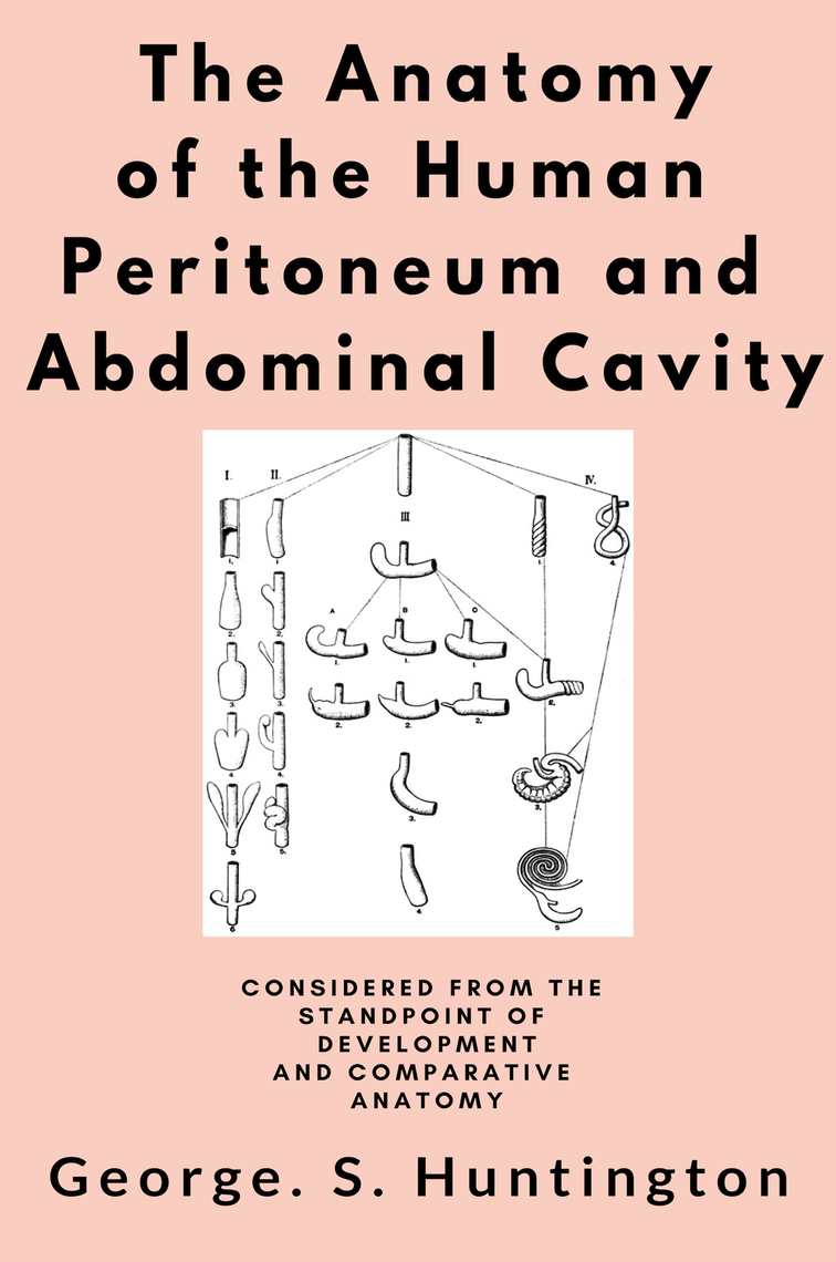 The Anatomy of the Human Peritoneum and Abdominal Cavity by George S ...