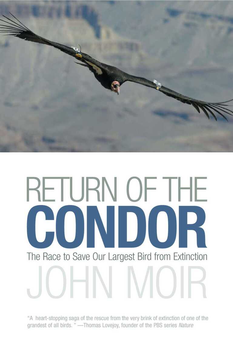Return of the Condor by John Moir (Ebook) - Read free for 30 days