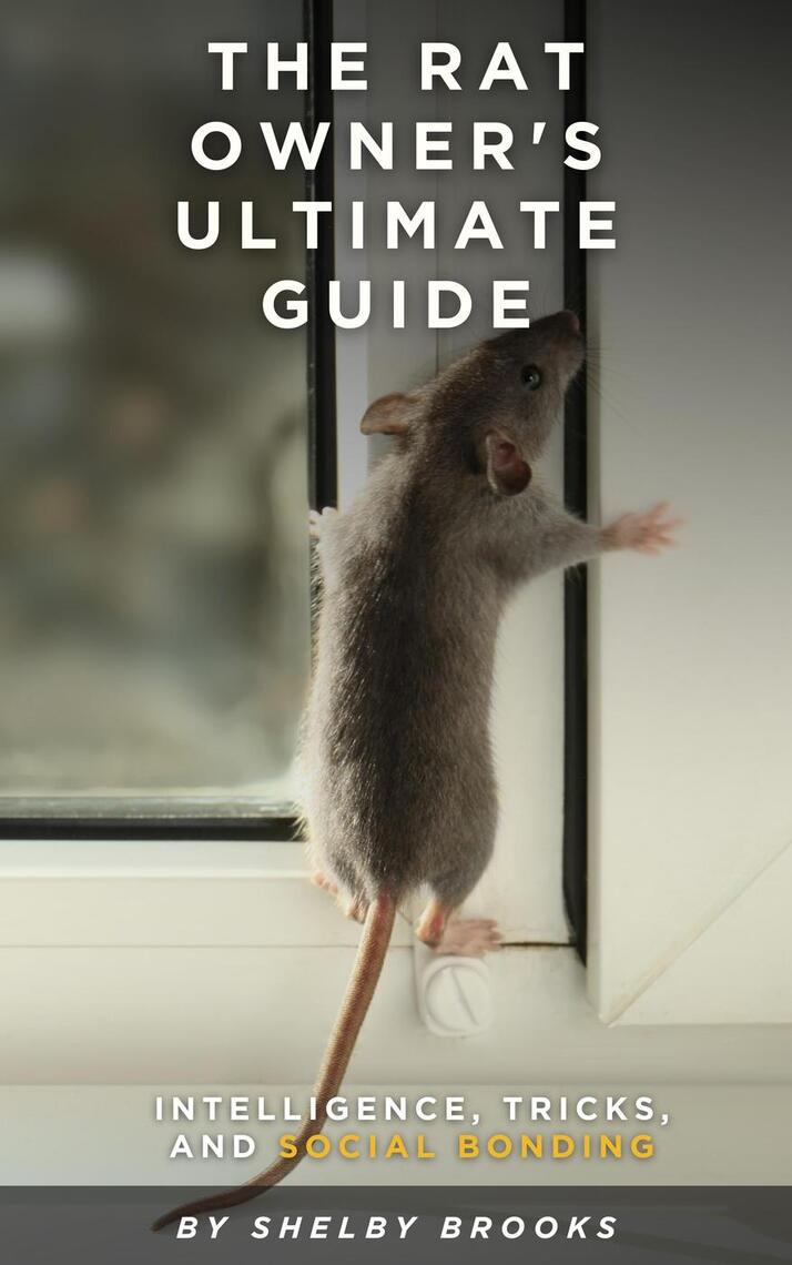 The Rat Owner's Ultimate Guide: Intelligence, Tricks, and Social ...