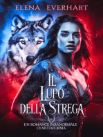 Il Lupo Della Strega