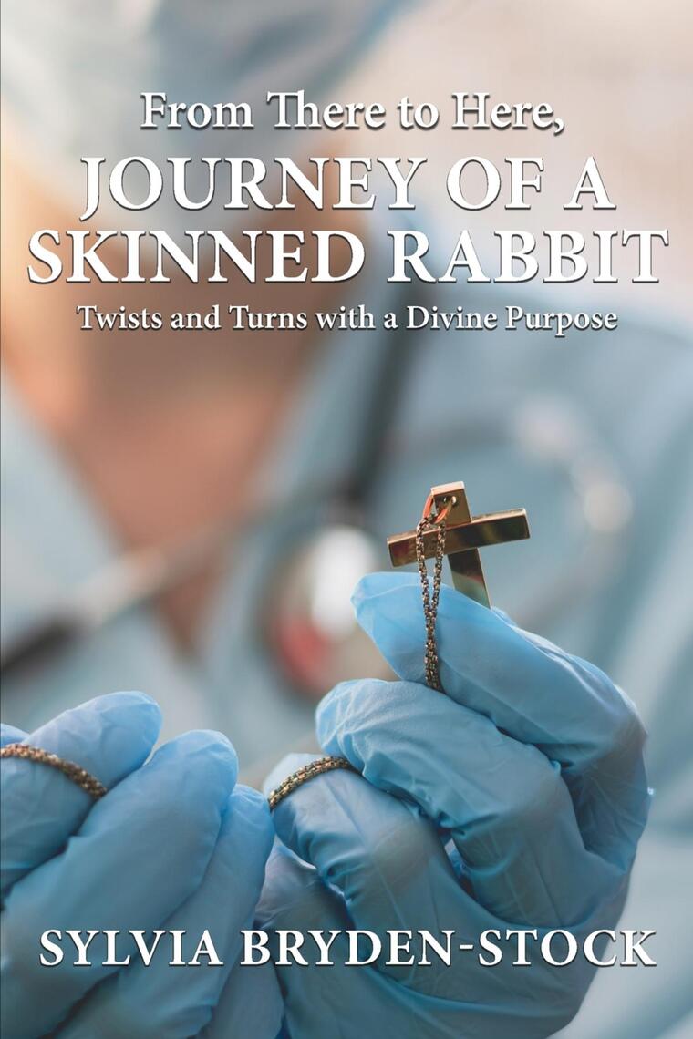 From There to Here: Journey of a Skinned Rabbit by Sylvia Bryden-Stock ...