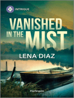 Vanished in the Mist