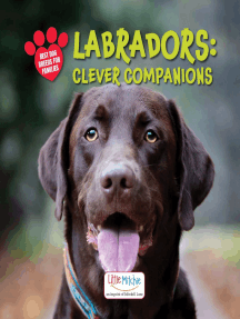 Labradors: Clever Companions