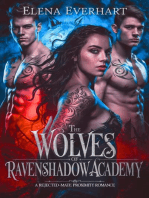 The Wolves Of Ravenshadow Academy
