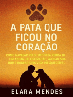 A Pata que Ficou no Coração